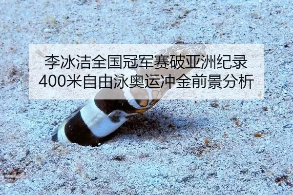 李冰洁全国冠军赛破亚洲纪录 400米自由泳奥运冲金前景分析