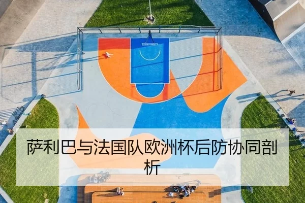 sa-li-ba-yu-fa-guo-dui-ou-zhou-bei-hou-fang-xie-tong-pou-xi-2-505.jpg