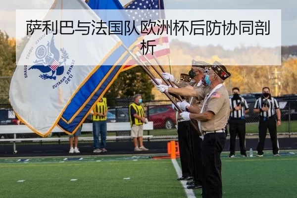 萨利巴与法国队欧洲杯后防协同剖析